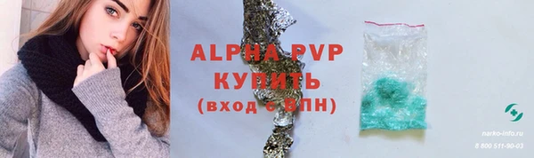твердый Горняк