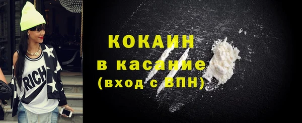 твердый Горняк