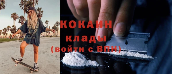 твердый Горняк
