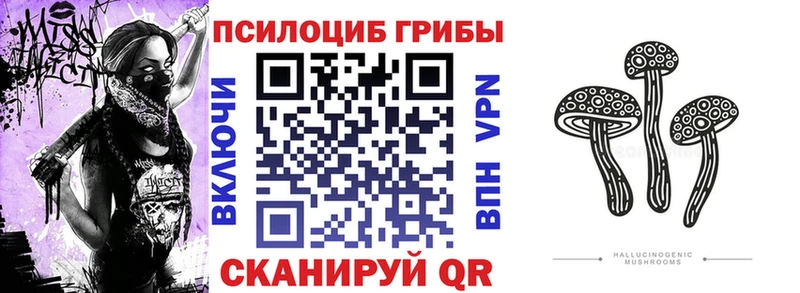 Псилоцибиновые грибы Psilocybe  магазин    Искитим 