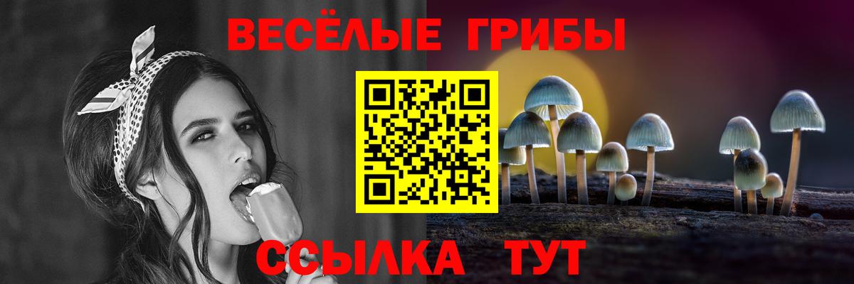 Псилоцибиновые грибы мицелий  Вход с VPN  Искитим 